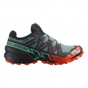 Chaussures Salomon Speedcross 6 GORE-TEX noir vert rouge - 49(1/3)