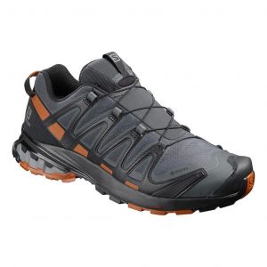 Chaussures Salomon XA PRO 3D v8 GORE-TEX gris noir brun - 47(1/3)