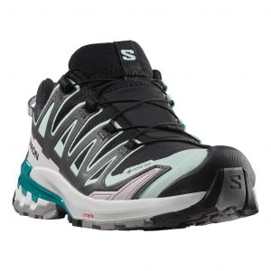 Chaussures Salomon XA PRO 3D v9 GORE-TEX noir beige bleu femme - 44