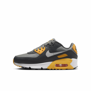 Chaussure Nike Air Max 90 pour ado - Gris