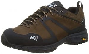 MILLET Homme Hike Up Leather GTX M Walking Shoe