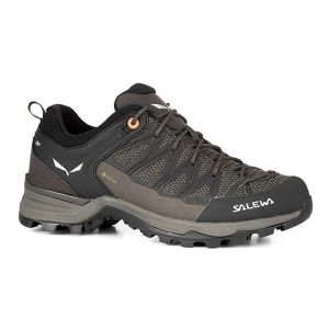 Salewa Mountain Trainer Lite Gore-Tex Femme Gris