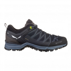 Salewa Mountain Trainer Lite Gore-Tex Homme Gris