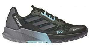 adidas Terrex Agravic Flow 2 GTX - femme - noir