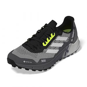 adidas Femme Terrex Agravic Flow 2 GTX W Shoes-Low