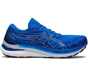 Asics Gel-Kayano 29 Homme