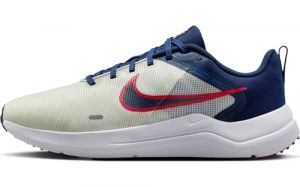 NIKE Homme Downshifter 12 Basse