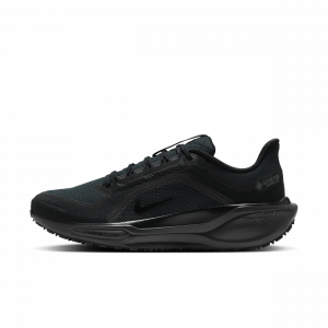 Chaussure de running sur route imperméable Nike Pegasus 41 GORE-TEX pour homme - Noir