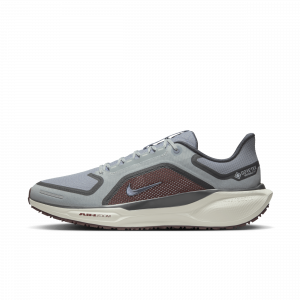 Chaussure de running sur route imperméable Nike Pegasus 41 GORE-TEX pour homme - Gris