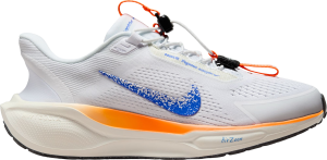 Chaussures de running Nike Pegasus EasyOn Blueprint