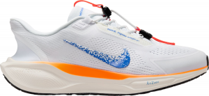 Chaussures de running Nike Pegasus EasyOn Blueprint