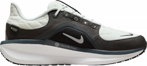 Chaussures de running Nike Winflo 11 GORE-TEX