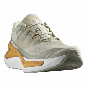 Chaussures Salomon DRX Bliss beige - 43(1/3)