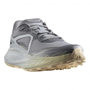 Chaussures Salomon Glide Max TR gris - 48