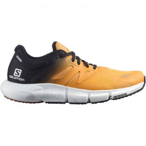 Salomon Predict 2 Homme