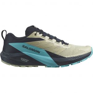 Salomon Sense Ride 5 Homme Beige