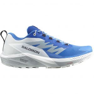 Salomon Sense Ride 5 Homme Bleu