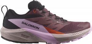 Chaussures de trail Salomon SENSE RIDE 5 GTX W