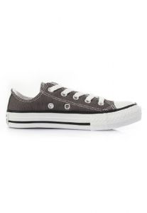 Converse Chuck Taylor All Star Seasonal Ox