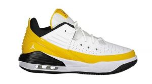 Jordan Max Aura 5 (GS) Basket