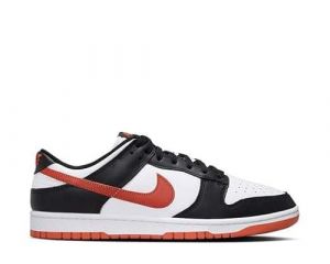 Nike Dunk Low Retro DV0833-108 Chaussures Homme