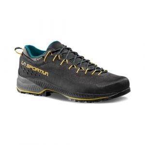 TX4 Evo GTX - Chaussures approche homme