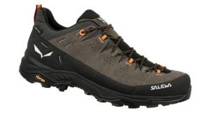 Salewa Alp Trainer 2 Gore-Tex - homme