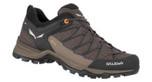 Salewa Mtn Trainer Lite GTX - homme