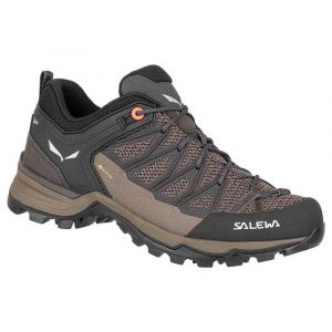 Salewa Chaussures De Randonnée Mtn Trainer Lite Goretex