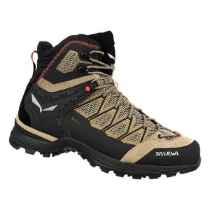 Salewa Bottes De Randonnée Mtn Trainer Lite Mid Goretex