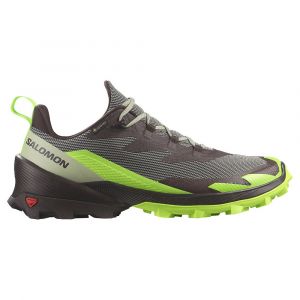 Salomon Chaussures De Randonnée Cross Over 2 Goretex