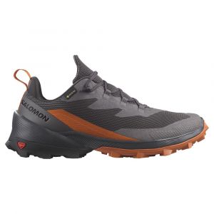 Salomon Chaussures De Randonnée Cross Over 2 Goretex