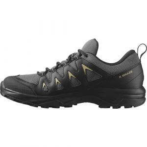 Salomon Homme X Braze Gore-Tex Trekking Shoes