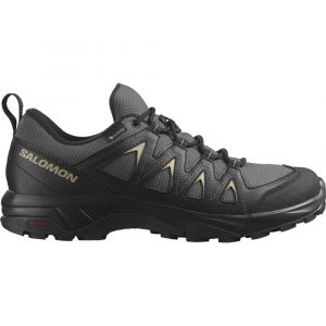 Salomon Chaussures De Randonnée X Braze Goretex