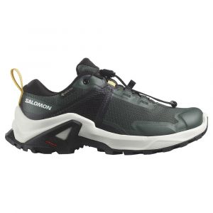 Salomon Chaussures De Randonnée X Raise Goretex