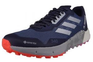 adidas Homme Terrex Agravic Flow 2 GTX Chaussures Basses (Non-Football)