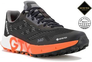 Terrex Agravic Flow 2 Gore-Tex M