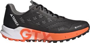 Chaussures de trail adidas TERREX AGRAVIC FLOW 2 GTX