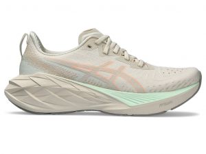 ASICS Novablast 4 Oatmeal / Moonrock Femmes Taille 43.5