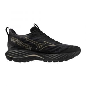 Chaussures de running femme Mizuno Wave Rider GTX 2