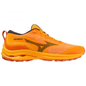 Chaussures de running Mizuno Wave Rider GTX