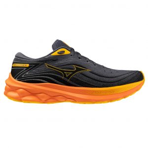 Chaussures de running Mizuno Wave Skyrise 5