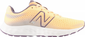 Chaussures New Balance 520 v8