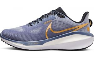 NIKE Femme W Vomero 17 Bas