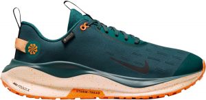 Chaussures de running Nike InfinityRN 4 GORE-TEX