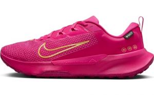 Nike Femme WMNS Juniper Trail 2 GTX Running Shoe