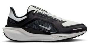 Nike Pegasus 41 GTX - femme - gris