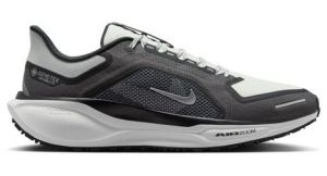 Nike Pegasus 41 GTX - homme - gris