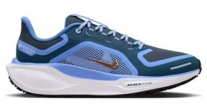 Nike Pegasus 41 GTX - femme - bleu