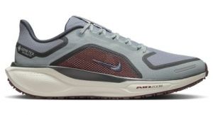 Nike Pegasus 41 GTX - homme - gris